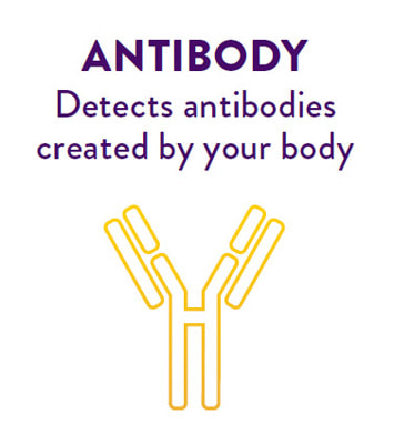 Antibody Test